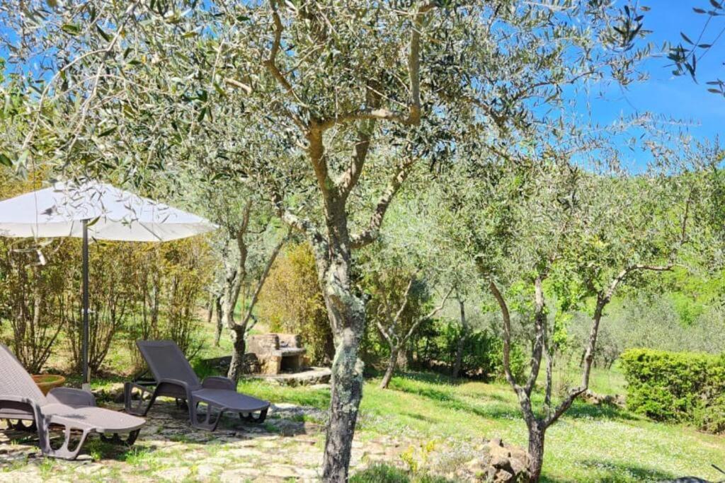 Lindo Apartamento No Coracao Do Chianti! Castellina in Chianti Exterior foto